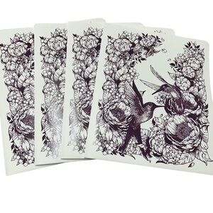 Kids Black and White hummingbird folders